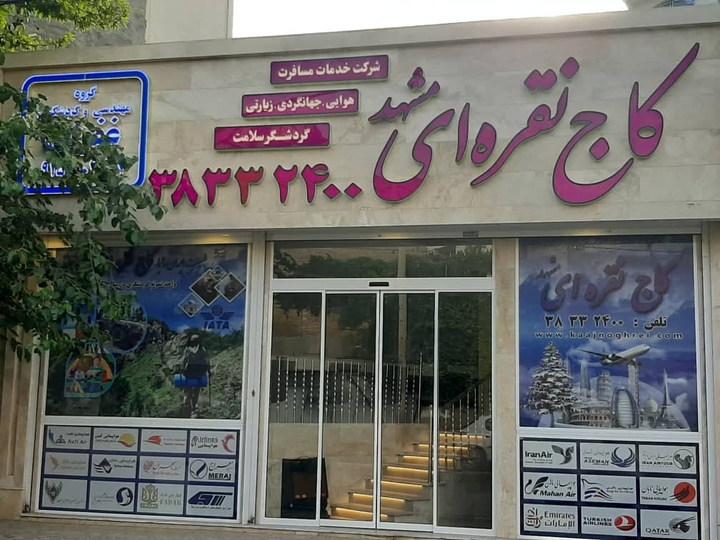 کاج نقره ای